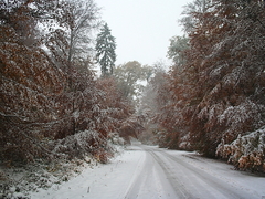 Killikus&reg; Fotographie